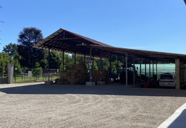 curiosando qua e la' 