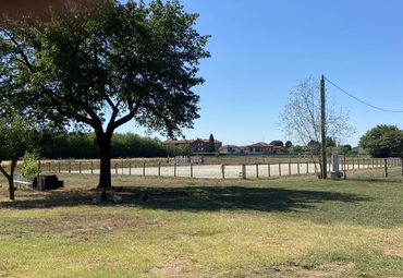 curiosando qua e la' 