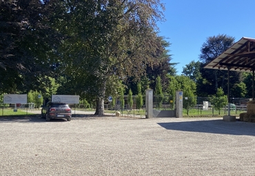 curiosando qua e la' 